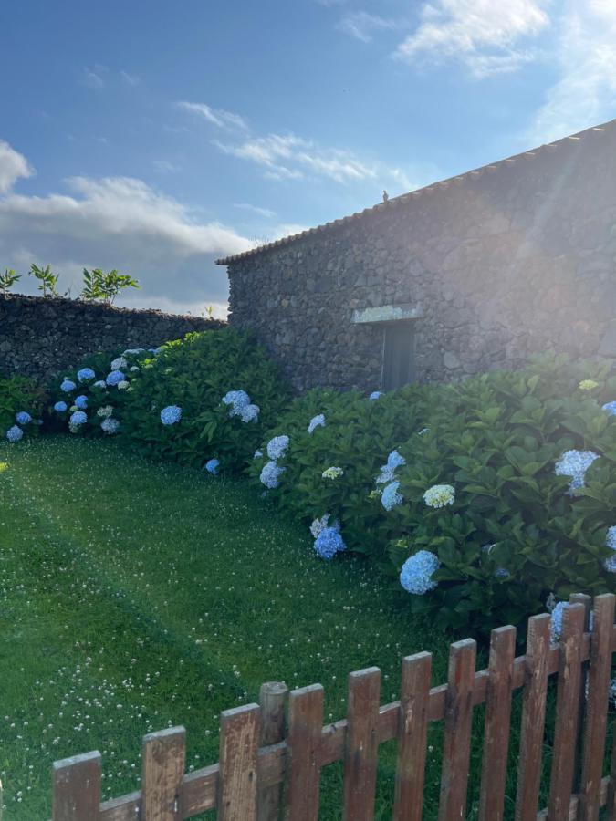 Arrenquinha Guesthouse 2 Ponta Delgada Eksteriør billede